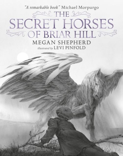 The Secret Horses of Briar Hill, Hardback Book