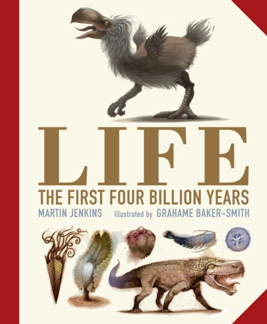 Life: The First Four Billion Years, Hardback Book