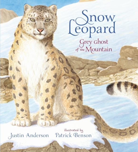 Snow Leopard: Grey Ghost of the Mountain, Hardback Book