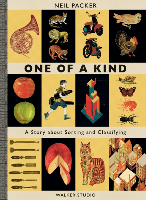 One of a Kind : A Story About Sorting and Classifying, Hardback Book