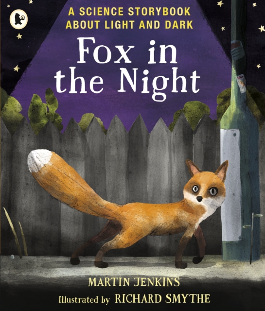 Fox in the Night: A Science Storybook About Light and Dark, Paperback / softback Book