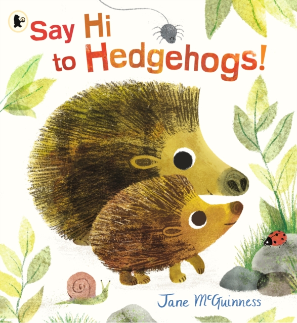 Say Hi to Hedgehogs!, Paperback / softback Book
