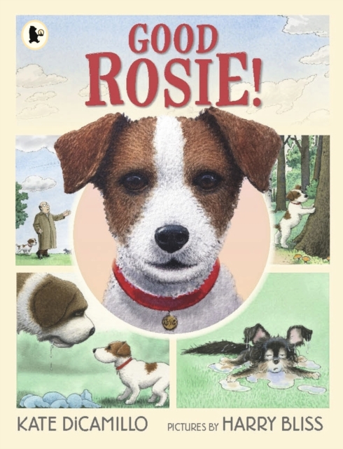Good Rosie!, Paperback / softback Book
