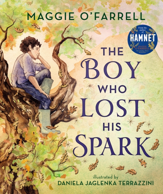 The Boy Who Lost His Spark, Hardback Book