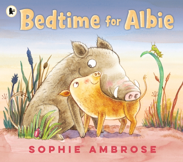 Bedtime for Albie, Paperback / softback Book