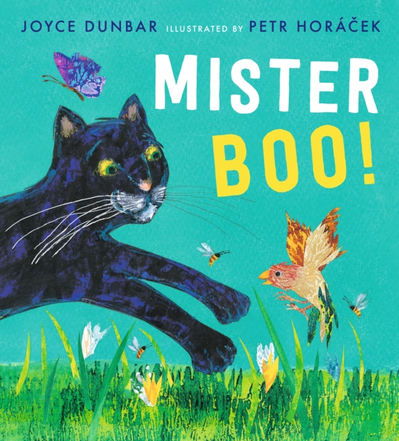 Mister Boo!, Hardback Book