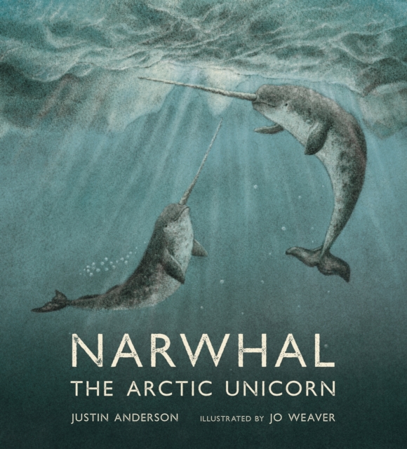 Narwhal: The Arctic Unicorn, Hardback Book