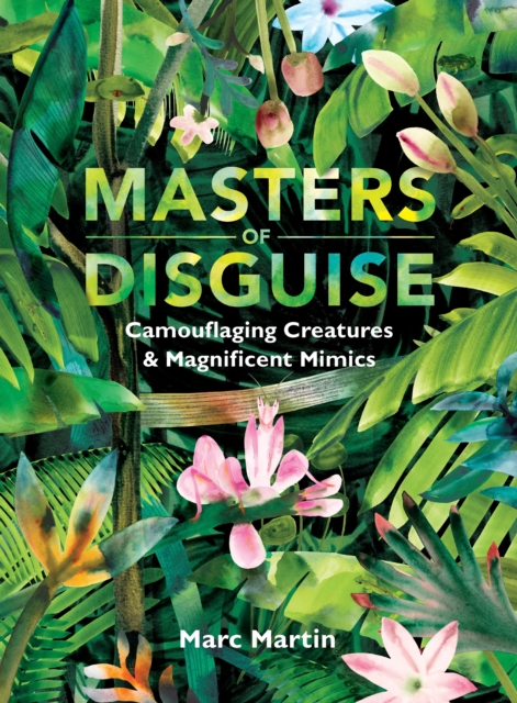 Masters of Disguise: Can You Spot the Camouflaged Creatures?, Hardback Book