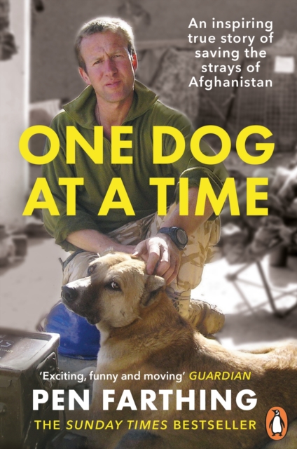 One Dog at a Time : An inspiring true story of saving the strays of Afghanistan, EPUB eBook