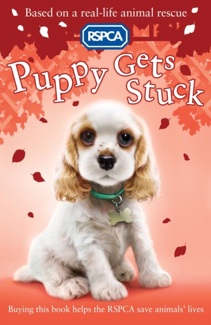 Puppy Gets Stuck, Paperback Book