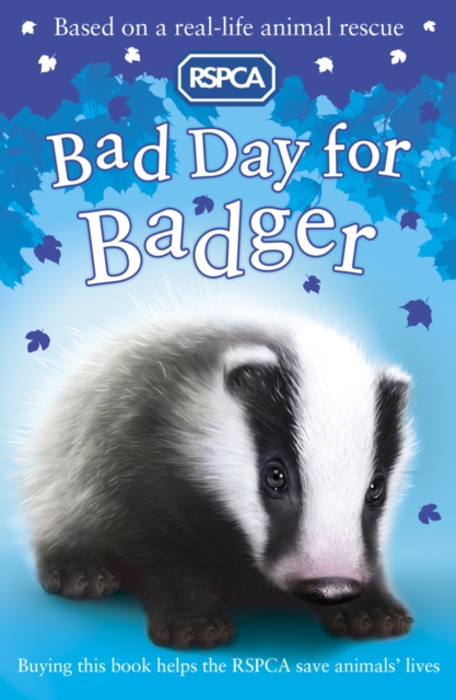 Bad Day for Badger, Paperback Book