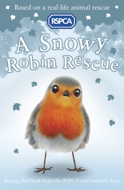 A Snowy Robin Rescue, Paperback Book