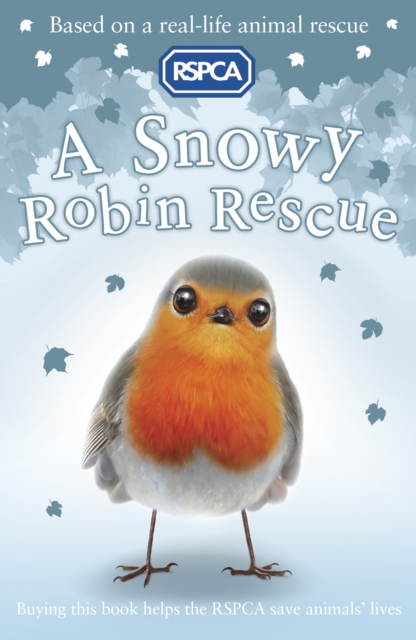 A Snowy Robin Rescue, EPUB eBook