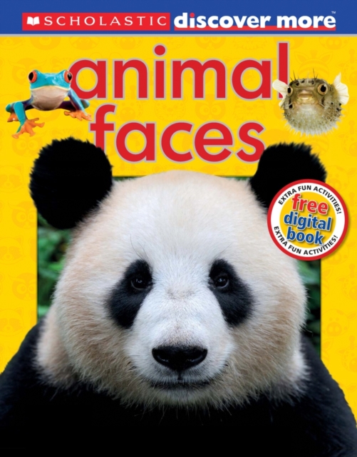 Animal Faces, Hardback Book
