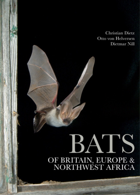 Bats of Britain, Europe and Northwest Africa, Hardback Book
