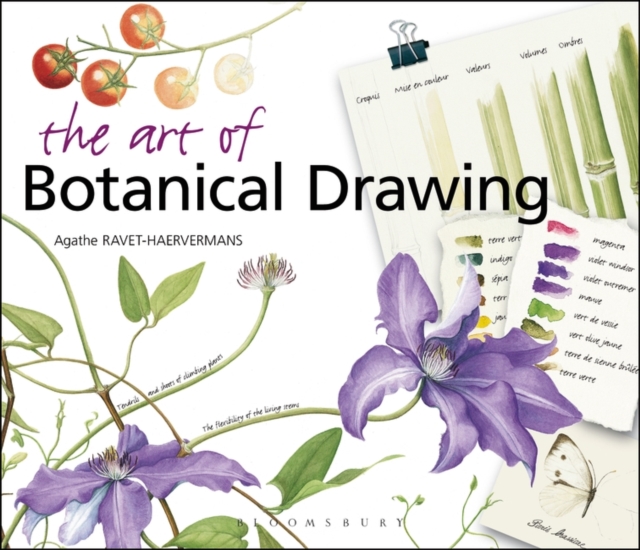 The Art of Botanical Drawing, Paperback Book