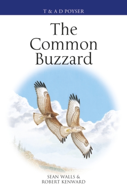 The Common Buzzard, Hardback Book