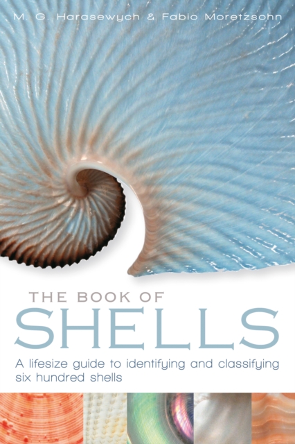 The Book of Shells, Hardback Book