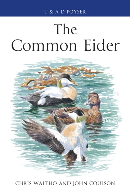 The Common Eider, Hardback Book