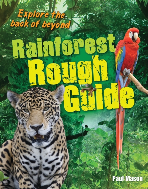 Rainforest Rough Guide : Age 10-11, average readers, Paperback / softback Book