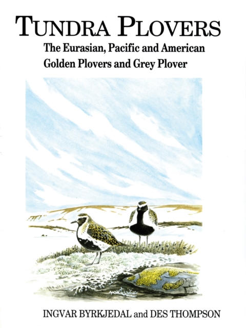 Tundra Plovers : The Eurasian, Pacific and American Golden Plovers and Grey Plover, EPUB eBook