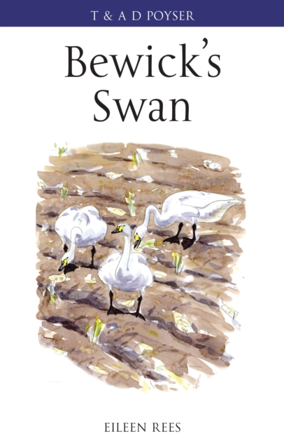 Bewick's Swan, PDF eBook