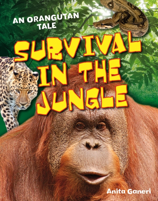 Survival in the Jungle : Age 6-7, above average readers, Paperback / softback Book