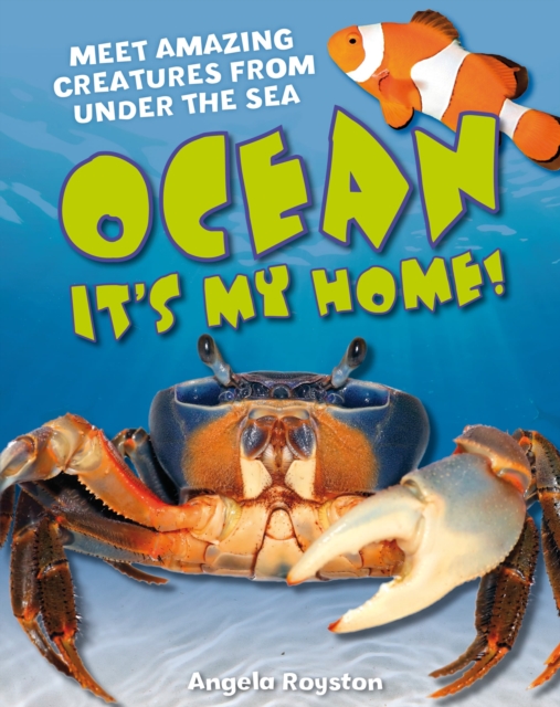 Ocean It's my home! : Age 5-6, average readers, Hardback Book