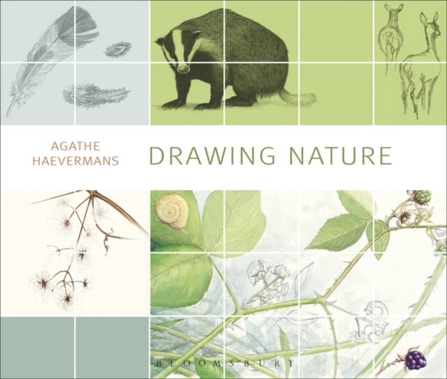 Drawing Nature, Paperback / softback Book