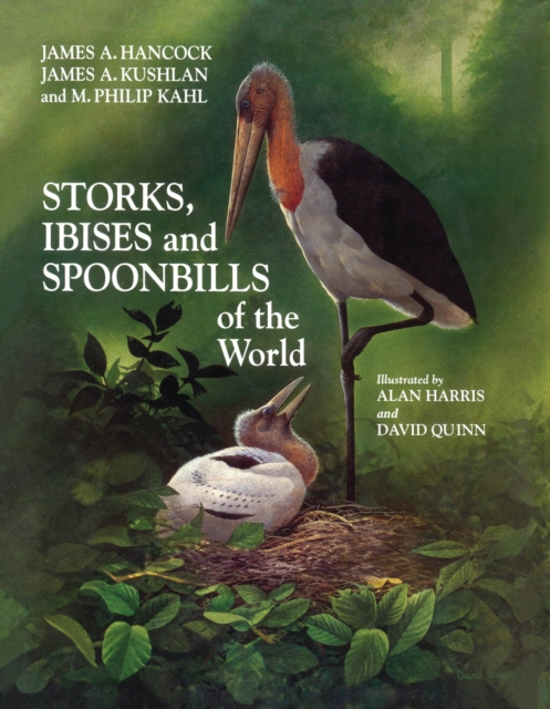 Storks, Ibises and Spoonbills of the World, EPUB eBook