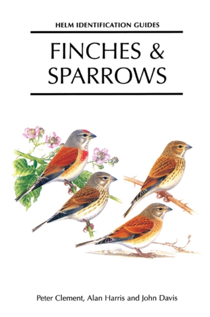 Finches and Sparrows, Hardback Book