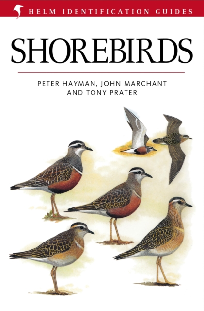 Shorebirds, PDF eBook