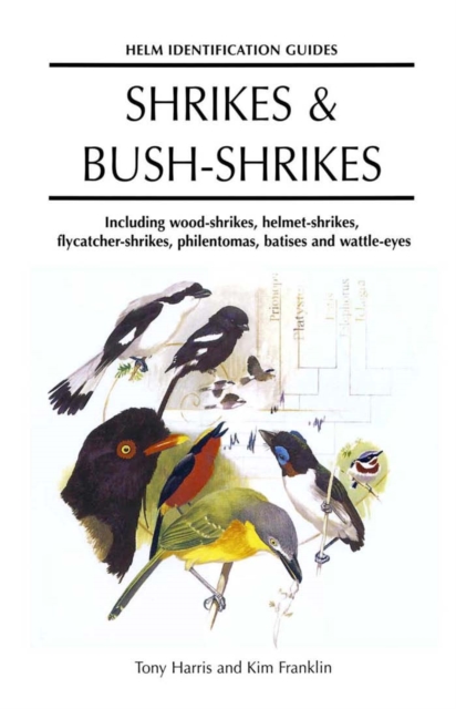 Shrikes and Bush-shrikes : Including Wood-Shrikes, Helmet-Shrikes, Shrike Flycatchers, Philentomas, Batises and Wattle-Eyes, PDF eBook