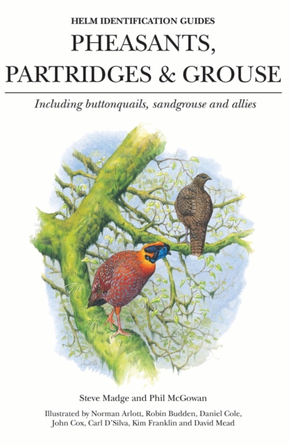 Pheasants, Partridges & Grouse : Including Buttonquails, Sandgrouse and Allies, PDF eBook