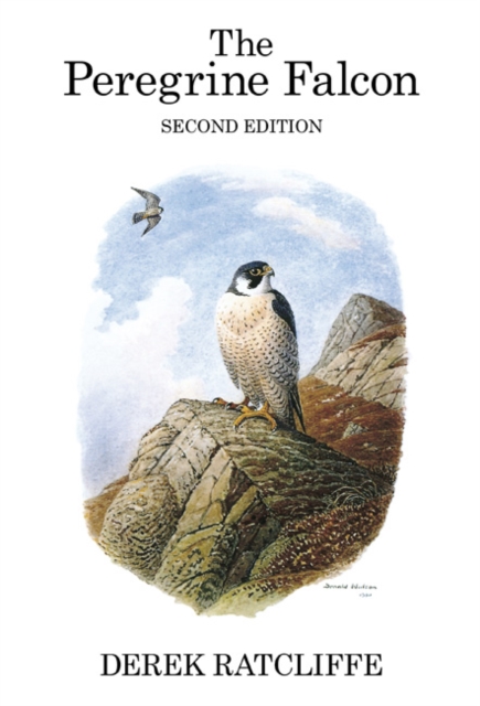 The Peregrine Falcon, Hardback Book