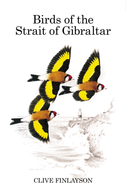 Birds of the Strait of Gibraltar, PDF eBook