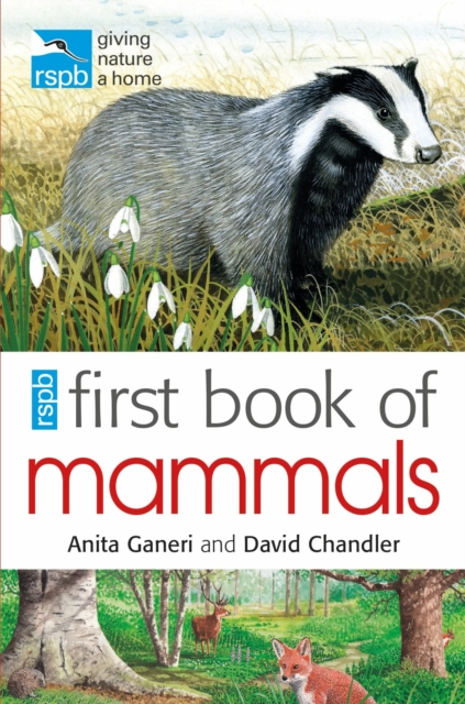 RSPB First Book Of Mammals, Paperback / softback Book