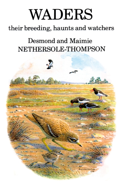 Waders: their Breeding, Haunts and Watchers, PDF eBook