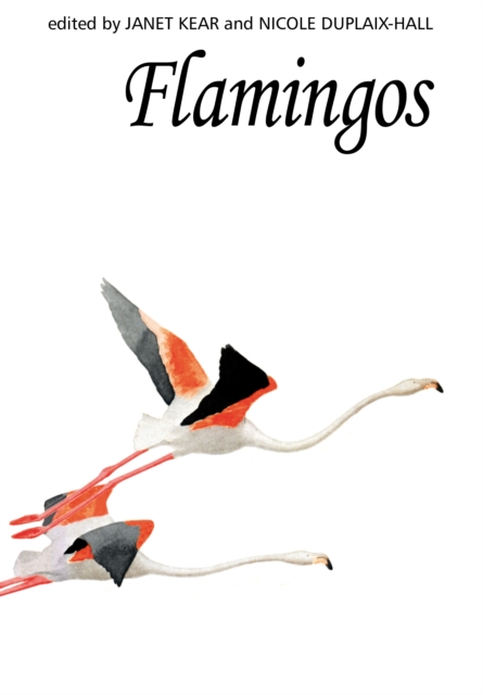 Flamingos, EPUB eBook
