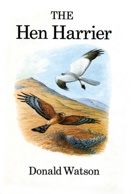The Hen Harrier, Hardback Book