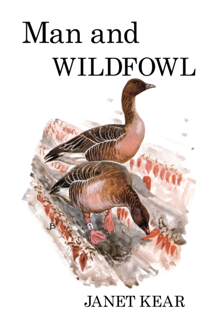 Man and Wildfowl, PDF eBook