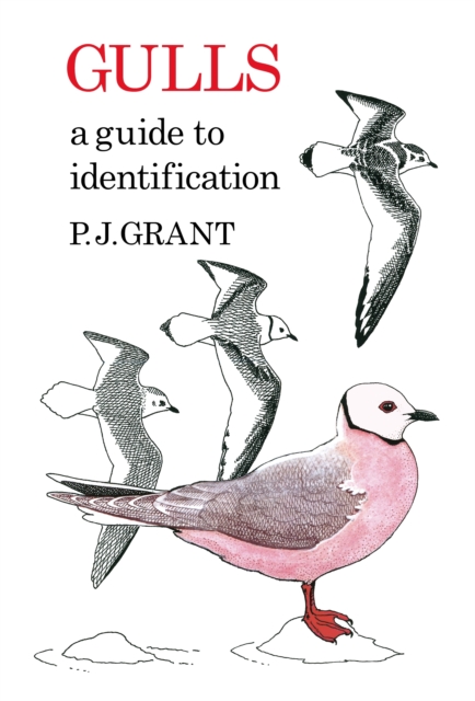 Gulls: A Guide to Identification. 2nd Edition, PDF eBook