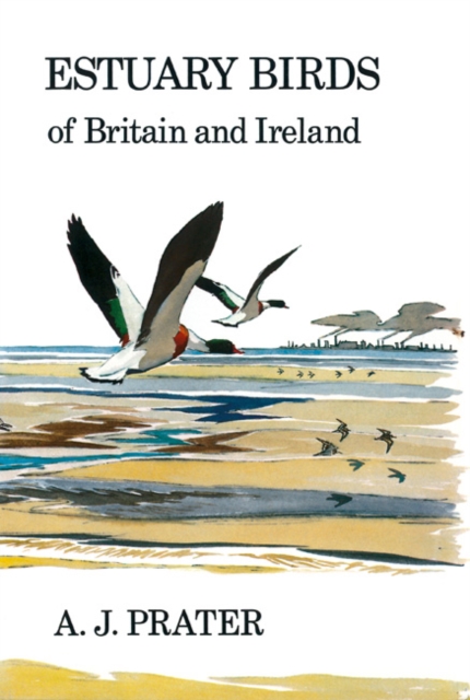 Estuary Birds of Britain and Ireland, Hardback Book