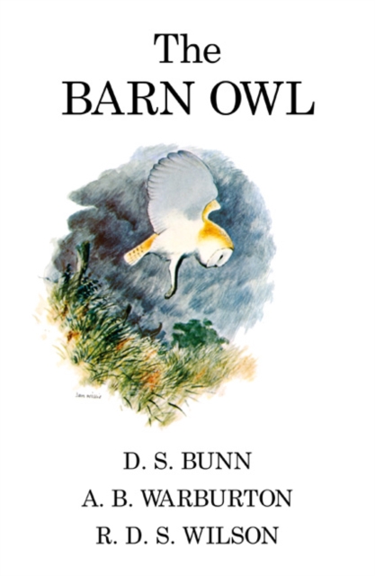 The Barn Owl, Hardback Book