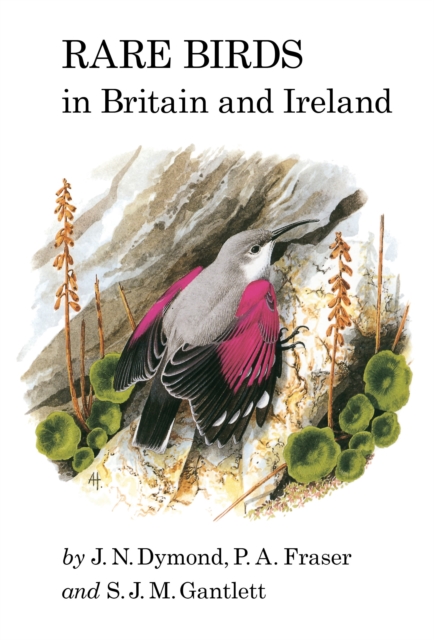 Rare Birds in Britain and Ireland : (1989), EPUB eBook