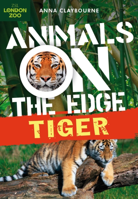 Tiger, Paperback Book