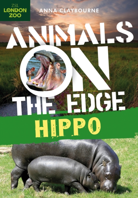 Hippo, Paperback / softback Book