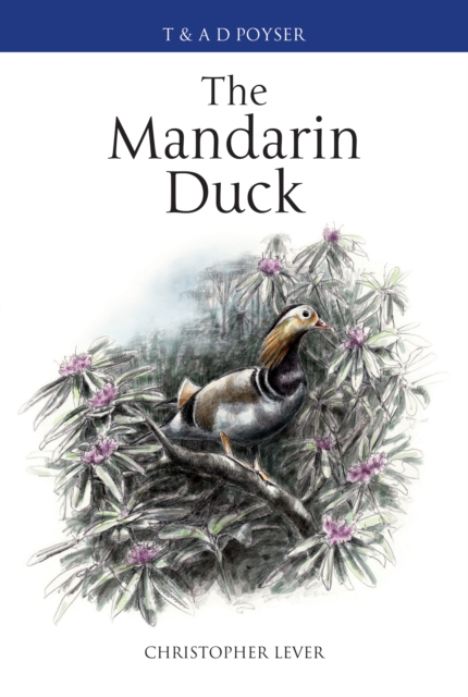The Mandarin Duck, Hardback Book