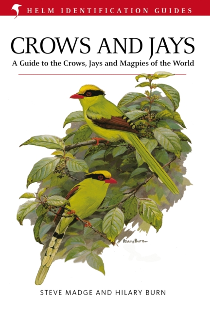 Crows and Jays, Hardback Book