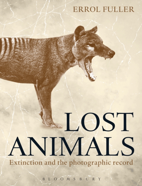 Lost Animals : Extinction and the Photographic Record, EPUB eBook